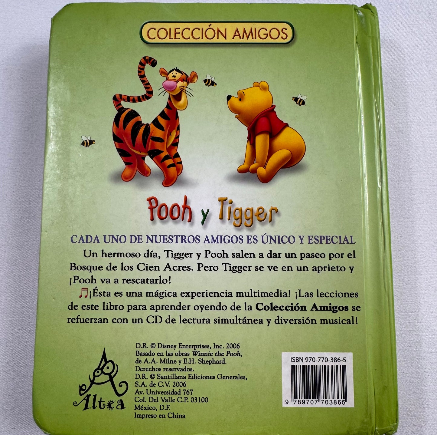 Disney Pooh y Tigger Kids Book