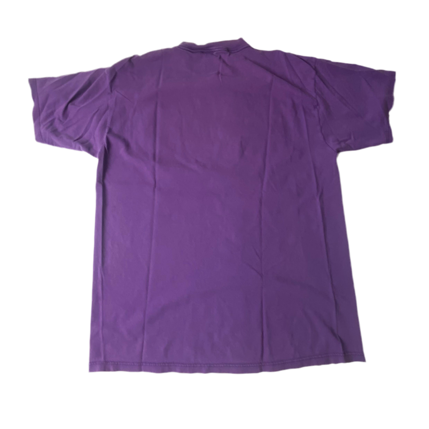 1995 Minnesota Vikings NFL Logo 7 T-Shirt