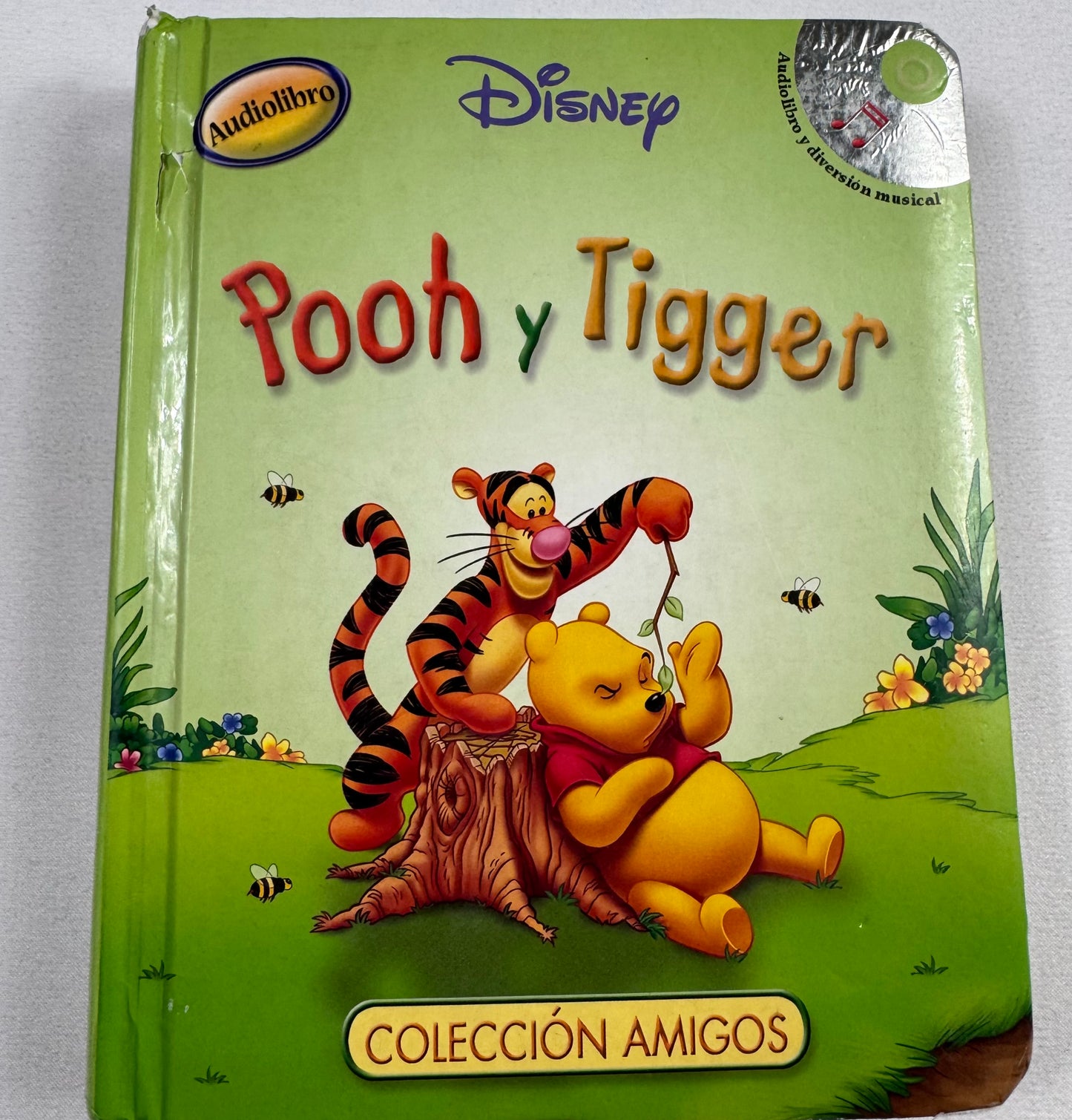 Disney Pooh y Tigger Kids Book